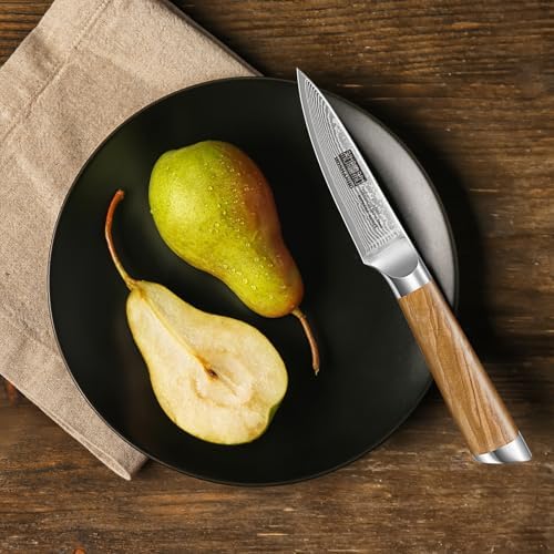 Couteau d'Office et à Légumes HOSHANHO, Tranchant Japonais Super, Manche Ergonomique en Bois, Couteau Éplucheur, Acier 6